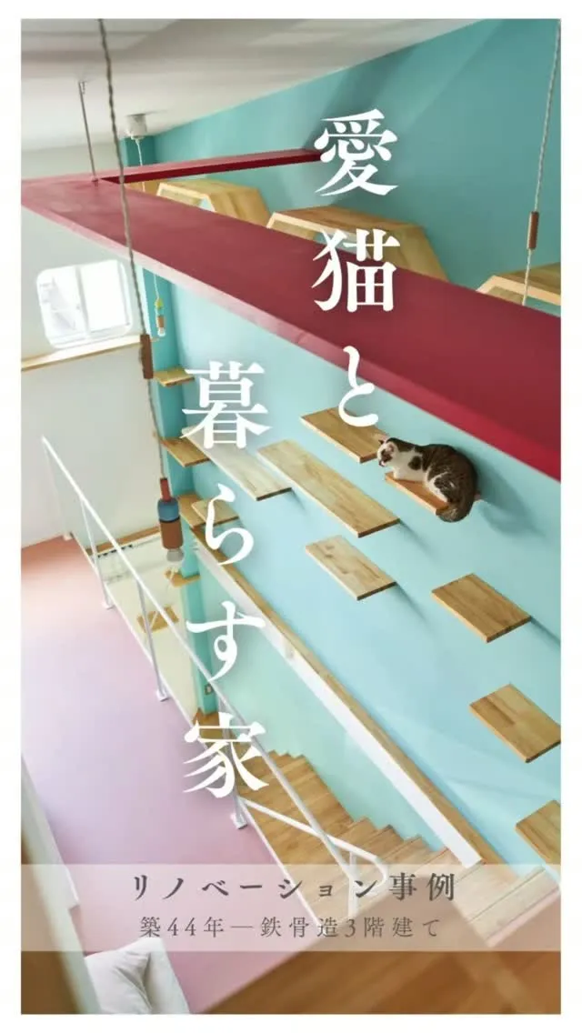 ⁡2匹の猫ちゃんと暮らす毎日は、愛おしいことであふれている。